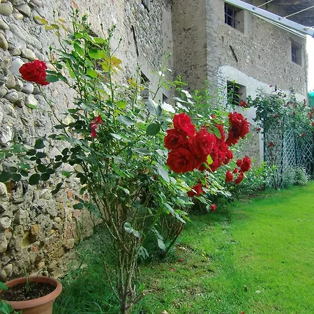 Rossella Codroipo